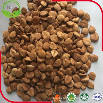 Chinese Dried Fried Apricot Kernels